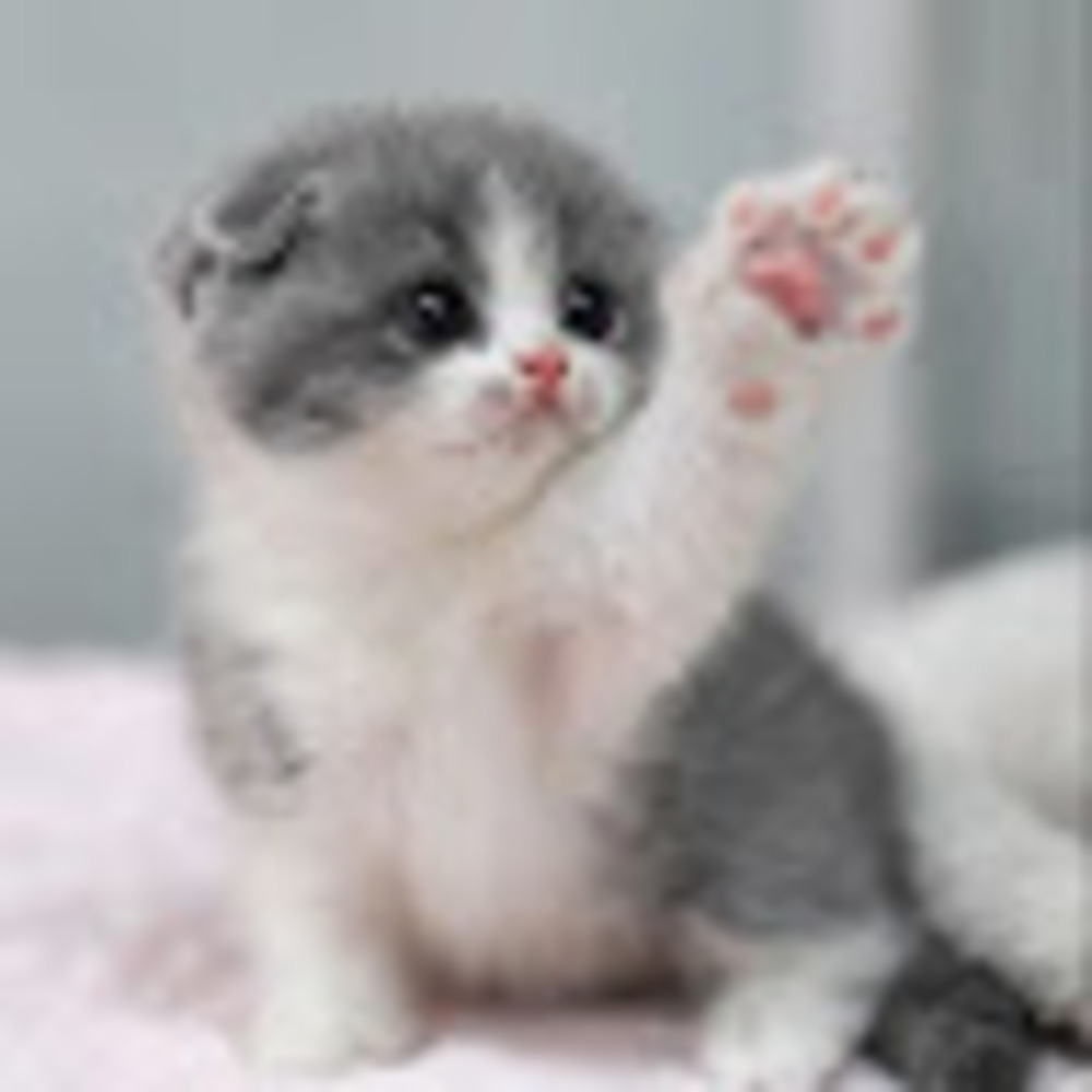 Meet your Posher, Bullkitt_en